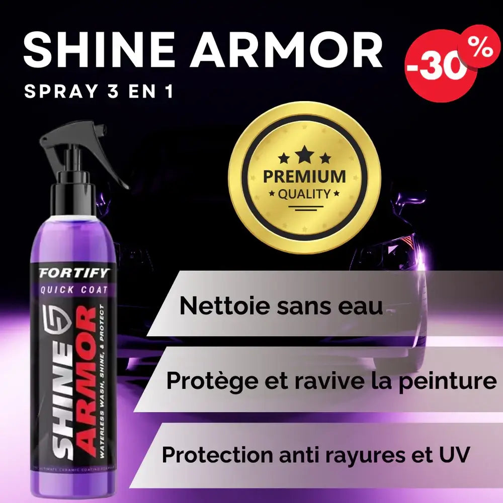 SPRAY DE CIRE POUR VOITURE