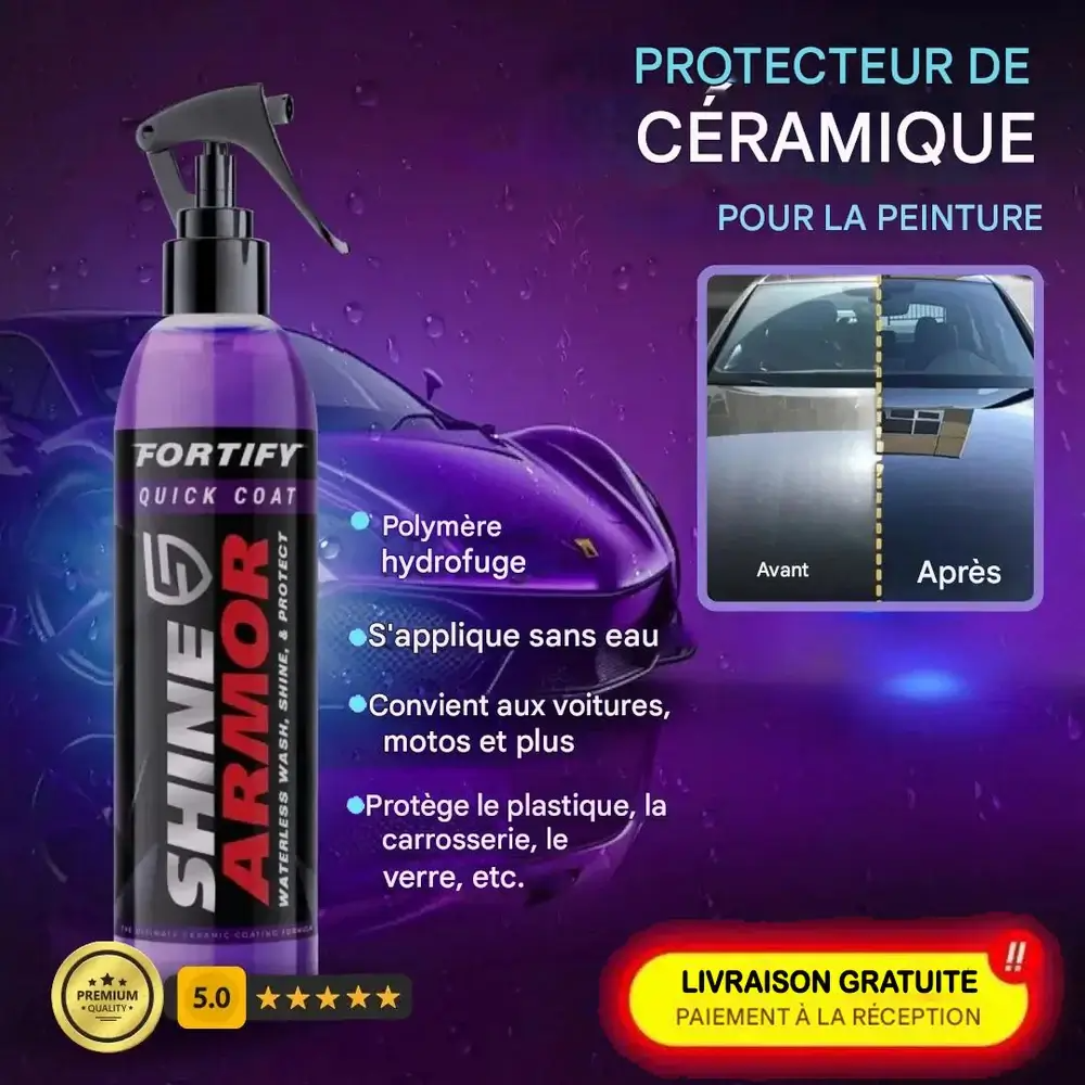 SPRAY DE CIRE POUR VOITURE