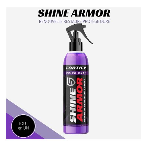 SPRAY DE CIRE POUR VOITURE